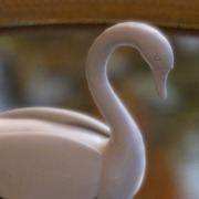 Swan Lake